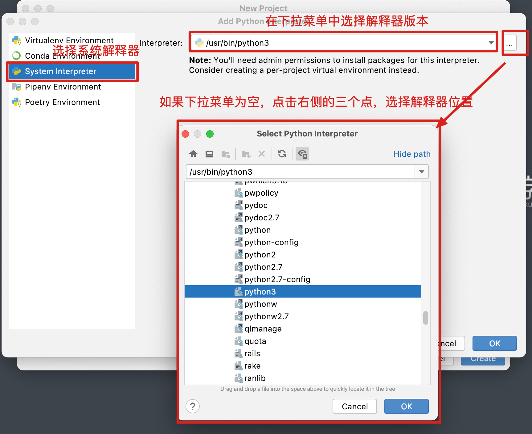 image-20220511113254086