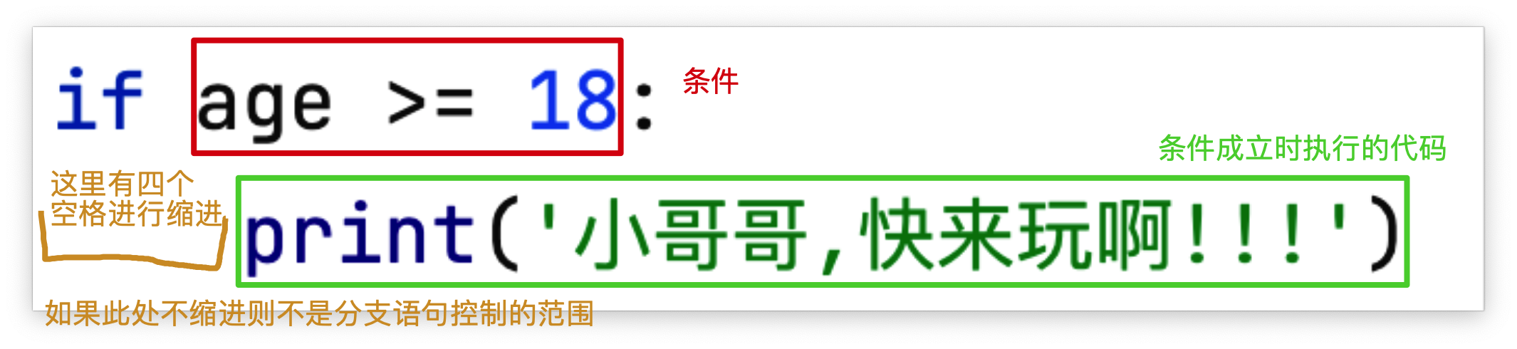 image-20220512150659892